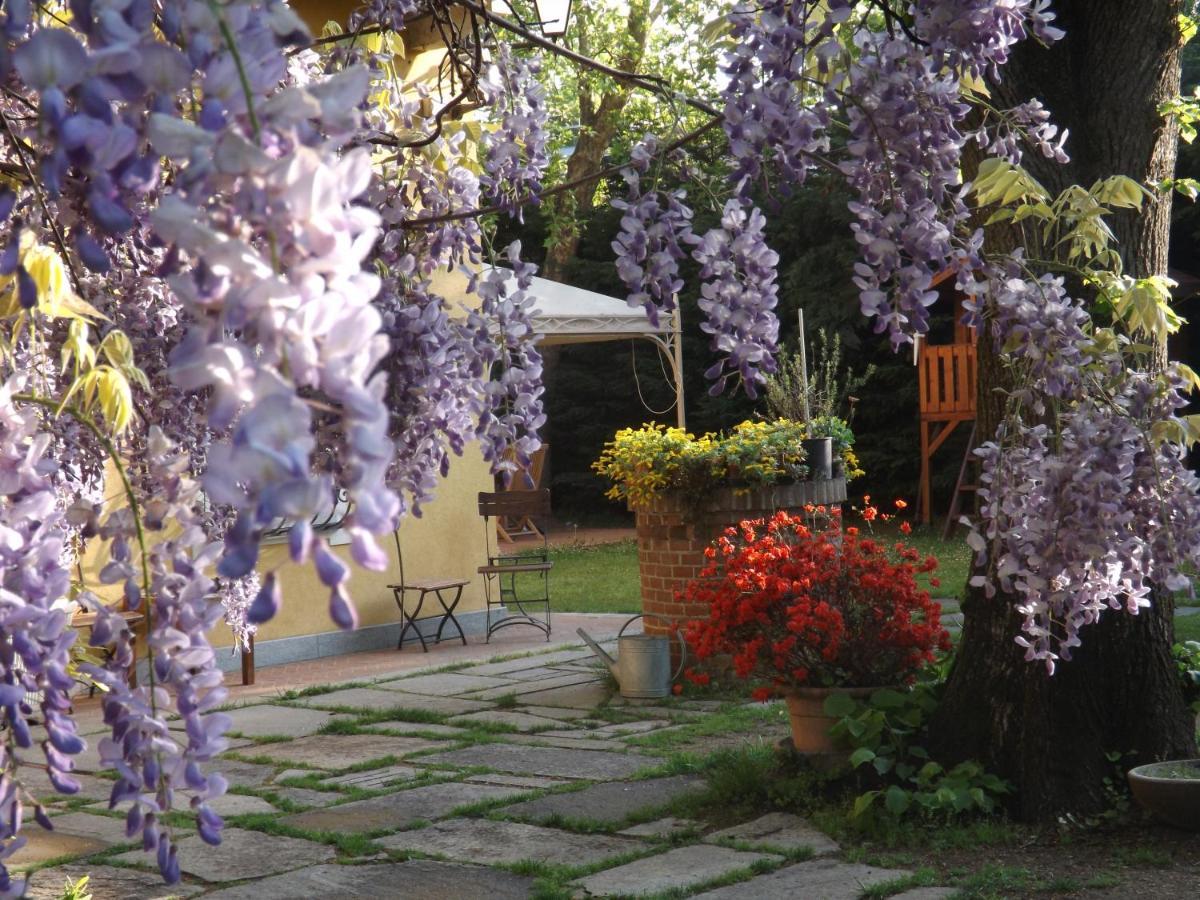 Villa Mirano Bed & Breakfast Piossasco Dış mekan fotoğraf