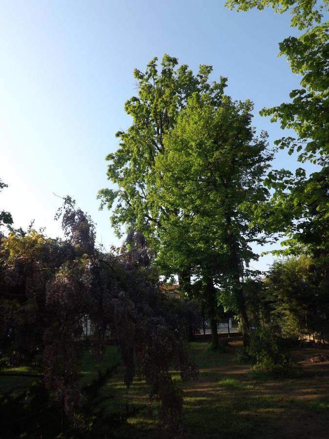 Villa Mirano Bed & Breakfast Piossasco Dış mekan fotoğraf