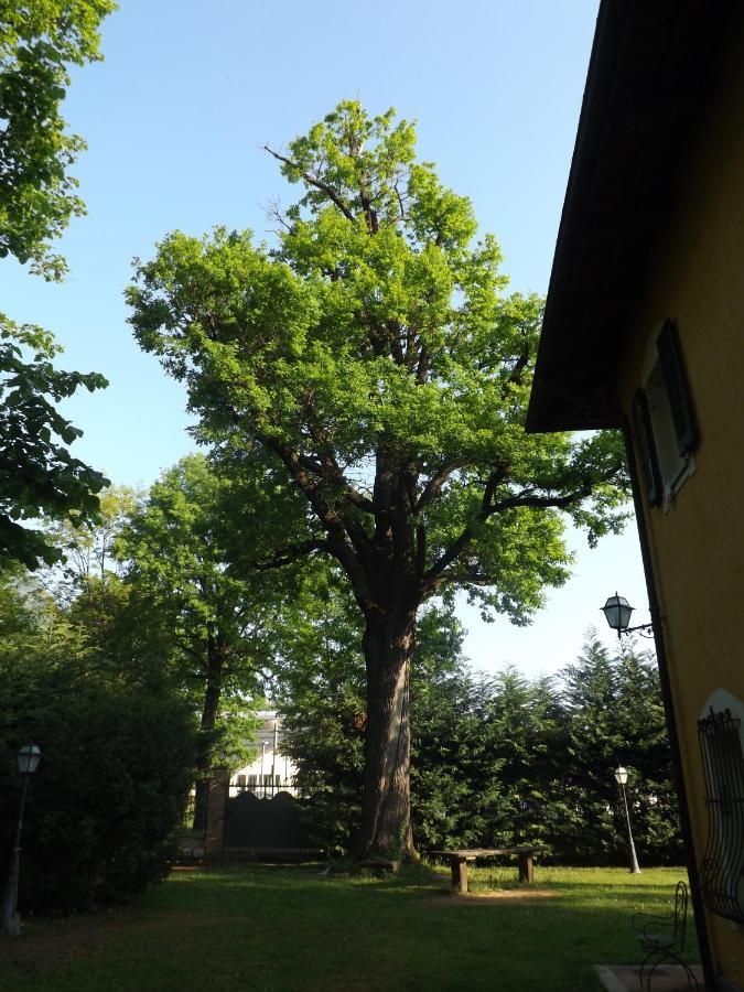 Villa Mirano Bed & Breakfast Piossasco Dış mekan fotoğraf