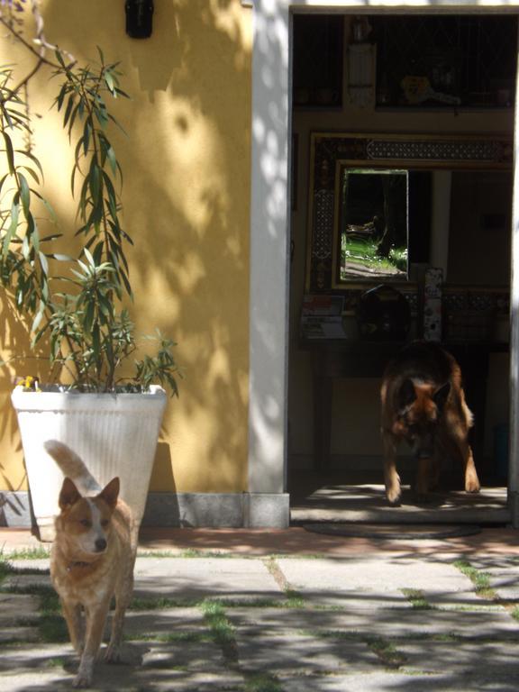 Villa Mirano Bed & Breakfast Piossasco Dış mekan fotoğraf